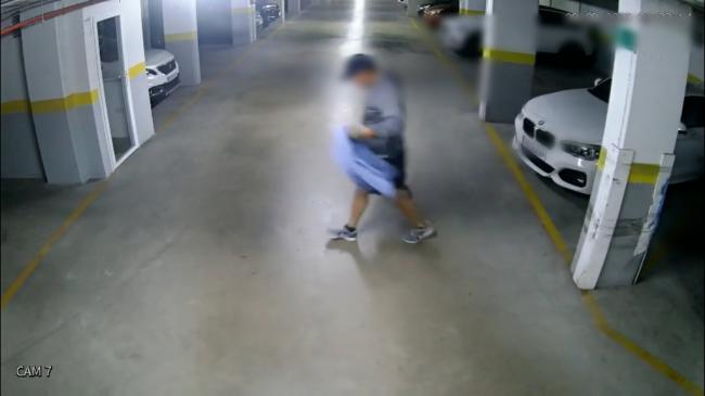 Robo de 22.000 euros en cámaras esclarecido por la Guardia Civil