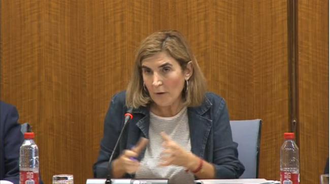 La consejera de Empleo afirma que “los planes de empleo no crean empleo”