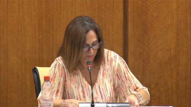 La Casa Consistorial de Almería reabrirá sus puertas este otoño tras 23 años de obras