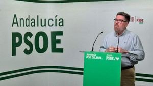 PSOE-A pide atención urgente para familias de víctimas del incendio en Los Gallardos
