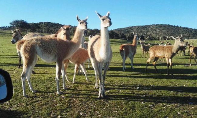 Tres planes para vivir la naturaleza este verano