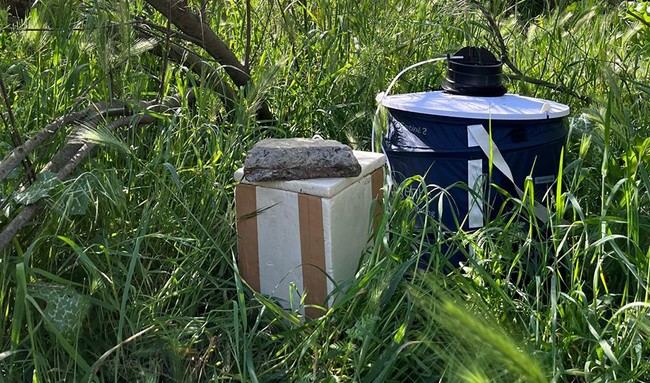 Almería refuerza la vigilancia de mosquitos ante el virus del Nilo Occidental