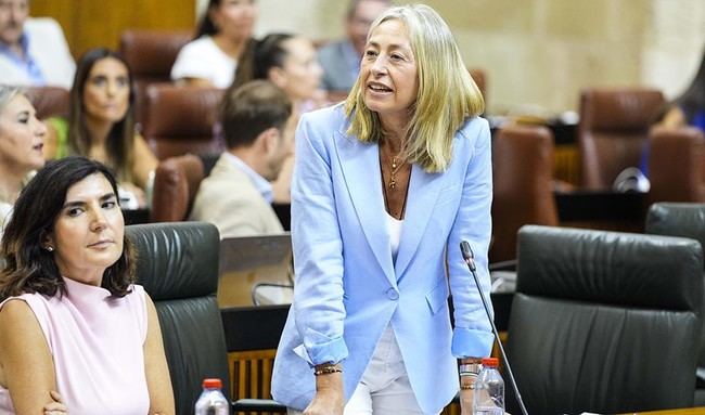 Atención telefónica 24/7 para pacientes paliativos pediátricos en Andalucía