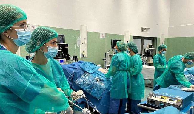 Cursos de cirugía simulada en Granada para profesionales sanitarios