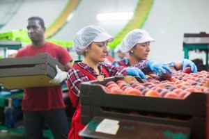 La Comisión Europea implementa nuevas medidas para proteger a los trabajadores migrantes