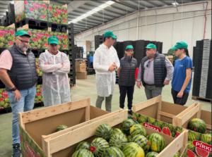 Garrido respalda al sector agrícola en plena campaña de sandía