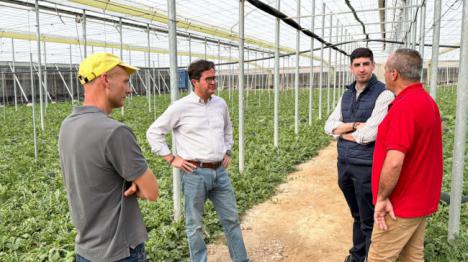 Las sandías de Almería conquistan Europa con una cosecha récord