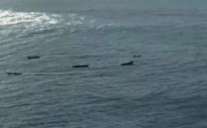 Ocho narcolanchas se refugian del temporal en playas de Níjar