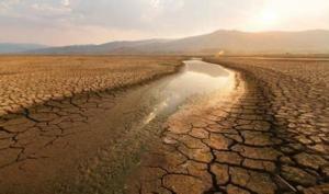 Ayudas para seguros agrarios a 1.800 almerienses