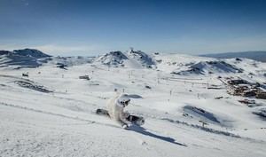 Cerca de 900.000 esquiadores visitan Sierra Nevada en una complicada temporada
