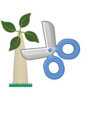 Autorización para poda de árboles en la vía pública del 22 al 26 de diciembre