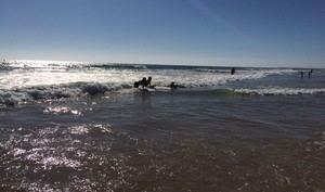 Calidad óptima en aguas de baño de Almería este verano