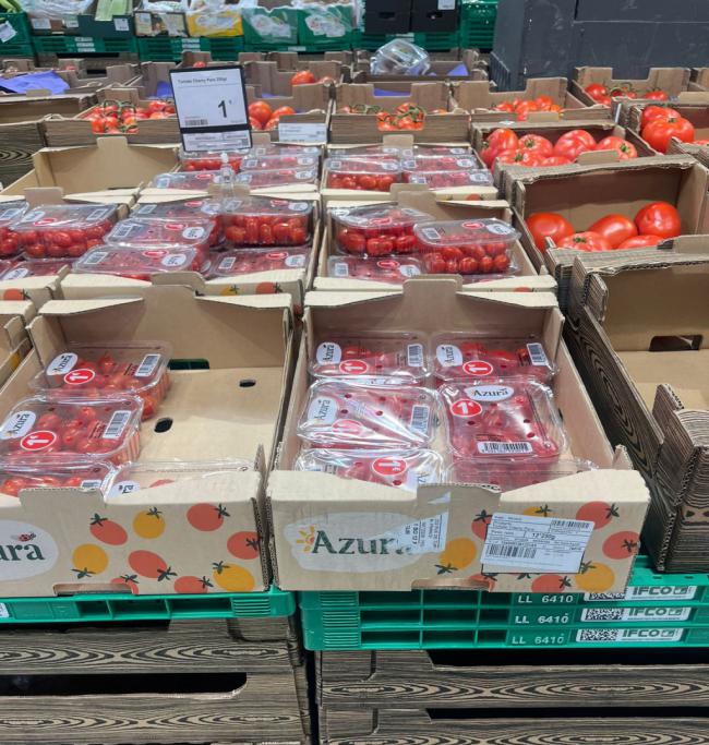 COAG y CECU denuncian que Marruecos sigue etiquetando como suyo el tomate saharaui
