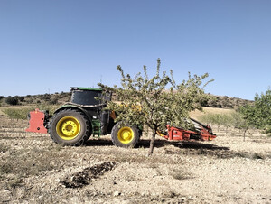 El campo exige intervenir de urgencia el mercado oleícola ante el desplome de precios que azota a Almería  