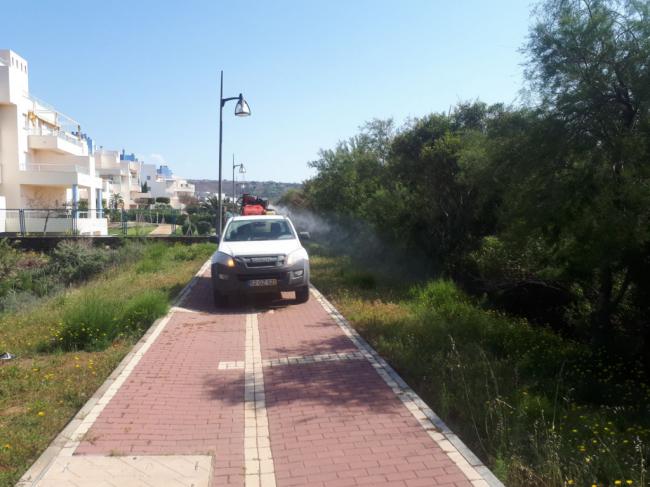 Sin vacaciones en la lucha contra los mosquitos de Almerimar