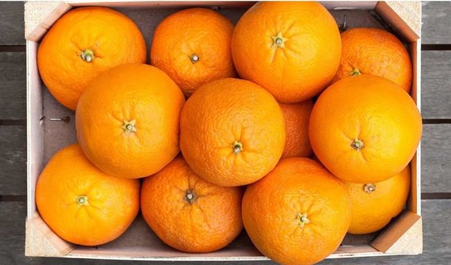 Avance en la UAL: Mejor detección de pesticidas para frutas en Almería