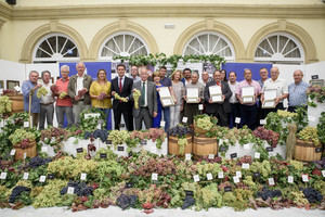 ‘Biodiversidad Domesticada’ ha ‘rescatado’ 12.000 plantas de variedades de uva de mesa