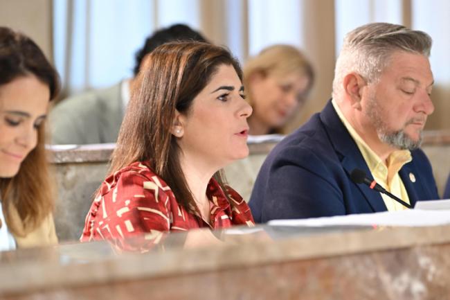 Almería reclama al Gobierno más transparencia en ingresos estatales