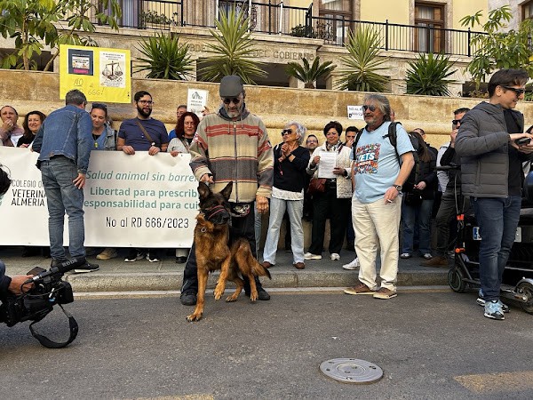 Veterinarios de Almería se suman a la protesta nacional contra el Decreto 666/2023