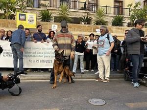 Veterinarios de Almería se suman a la protesta nacional contra el Decreto 666/2023