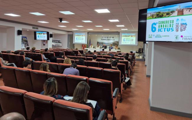 Congreso sobre ictus reúne a más de 100 expertos en Almería