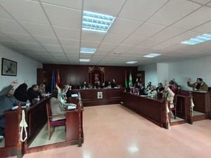 Vícar refuerza su compromiso con el municipalismo y la seguridad en nuevo Pleno