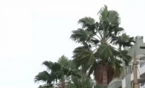 Almería sufre el temporal de lluvia y viento provocado por Aline
