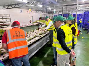 El PP resalta la innovación agrícola en Pulpí
