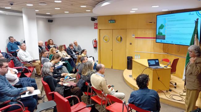 Andalucía destina 44,65 millones de euros a empresas para eficiencia energética