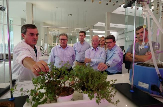 El PP se compromete con la agricultura y la innovación agroalimentaria